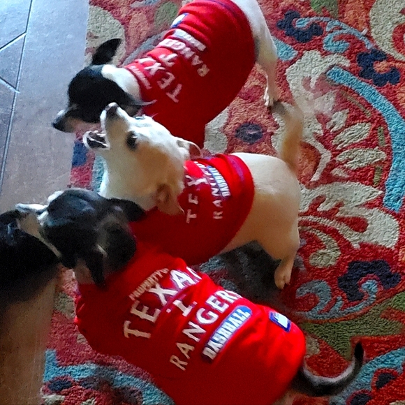 Meet your Posher, Tina - Picture 3 of 6